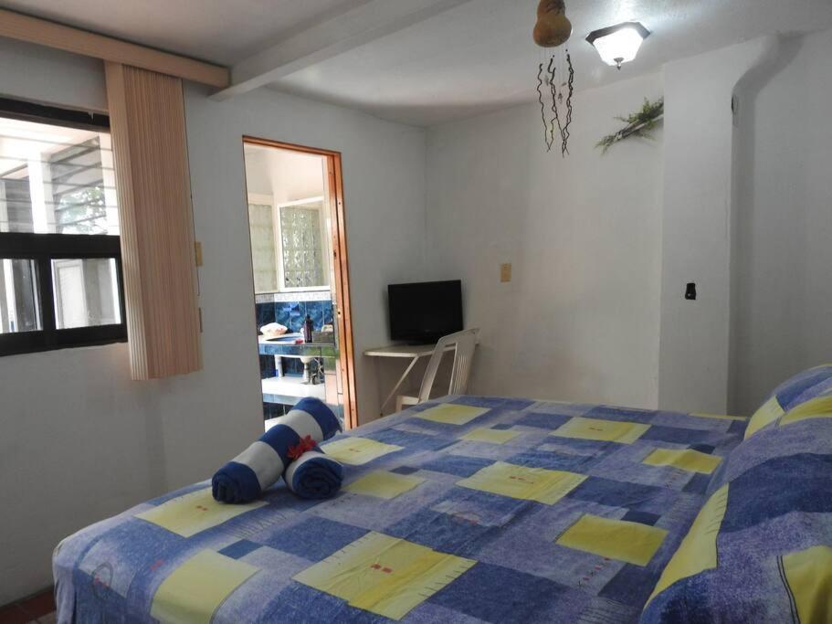 Habitacion Independiente A Pie Del Lago Con Ac 特克塞丁戈 外观 照片